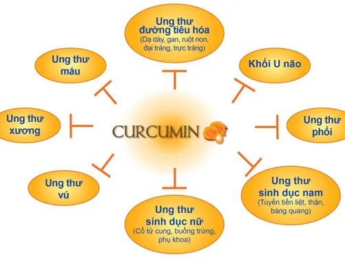 Tinh bột nghệ vàng chứa chất hủy diệt ung thư