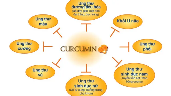 Tinh Bột Nghệ có tác dụng- phòng và hỗ trợ điều trị bệnh được dân gian công nhận từ lâu.