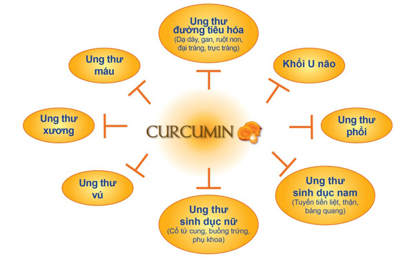 curcumin_Ungthu